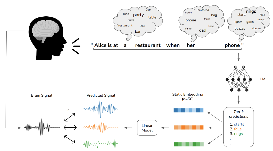 The Road Not Taken: Unsaid Word Alternatives are Represented in the Brain